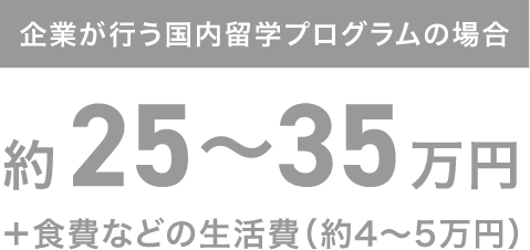 企業が行う国内留学プログラムの場合